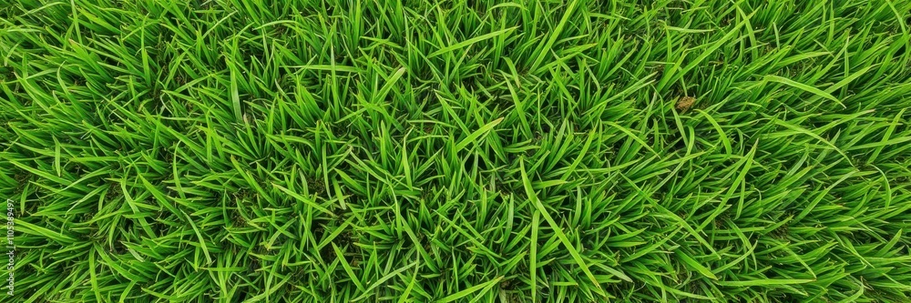 Evenly cut green grass with no visible imperfections, creating a lush and vibrant background for various purposes, green Evenly cut green grass with no visible imperfections, creating a lush and vibrant background for various purposes, green