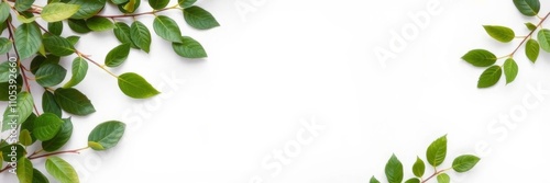 Blank white paper surrounded by vibrant green leaves, creating a natural frame for text or design, design, blank paper