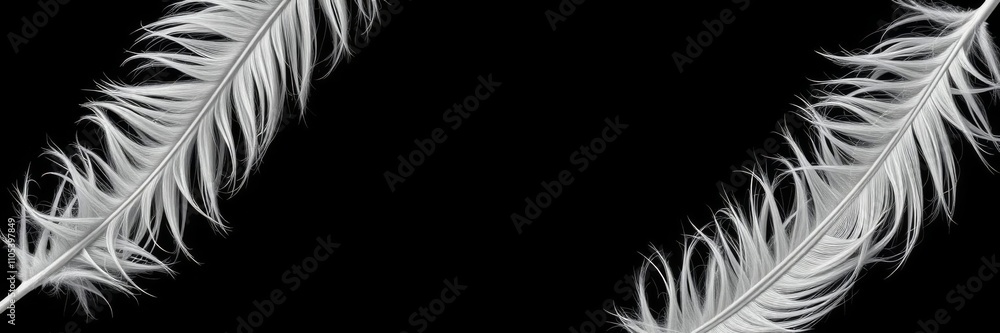 Obraz premium Close up of white feather on black and white background with square frame, generative AI, border, white