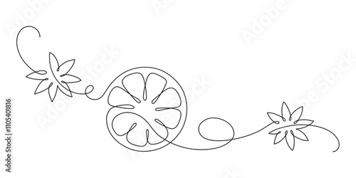 Lemon with star anise spice. Continuous line drawing.