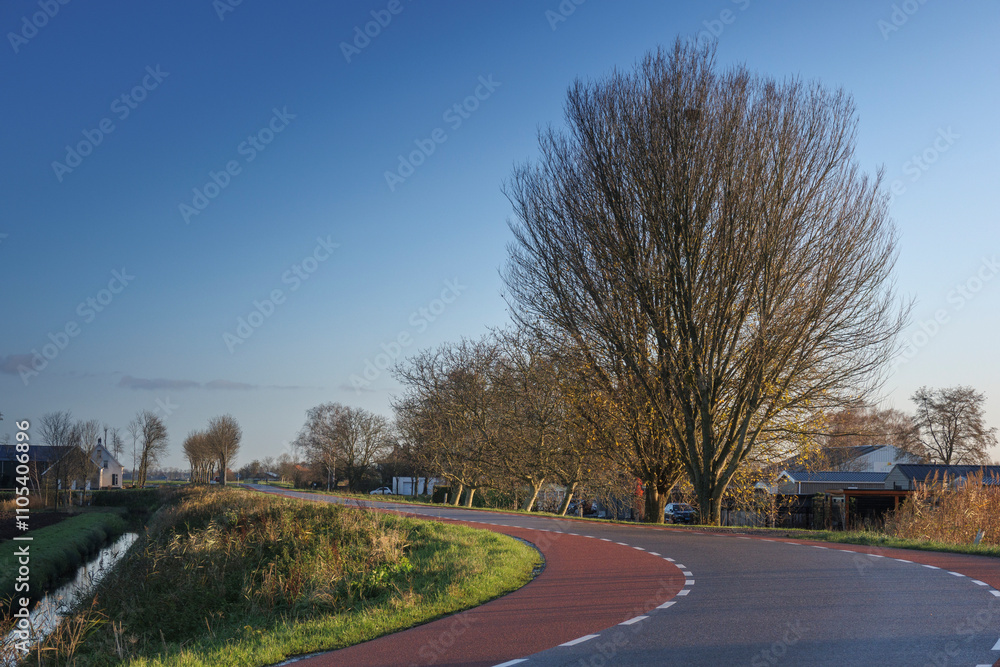 Curved road surrounded by trees and houses under a clear blue sky during late afternoon Curved road surrounded by trees and houses under a clear blue sky during late afternoon