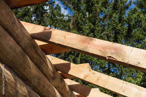 New rural house made of uncolored natural pine tree logs and boards