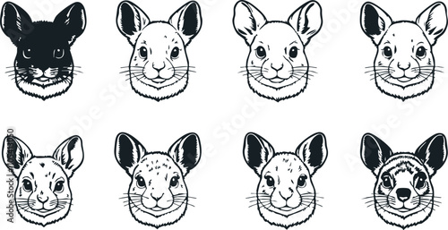 Minimalist Chinchilla Head Outline