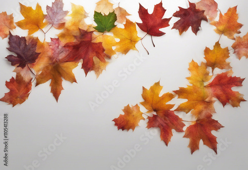 Autumn Leaves Border in Various Colors Isolated on White Transparent Background Element Vibrant fall