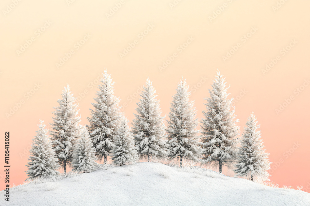 Serene winter morning: Frost-covered trees glowing in the first light of dawn Serene winter morning: Frost-covered trees glowing in the first light of dawn