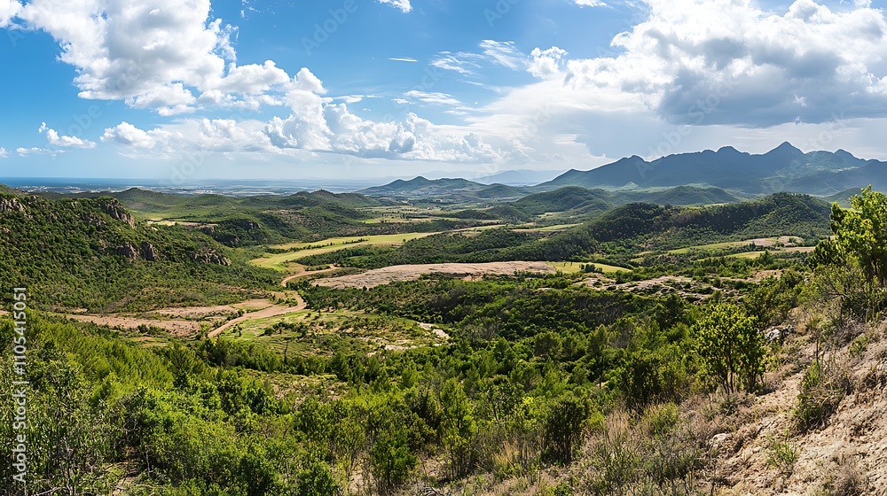 Panoramic View of the Serene and Verdant Landscape Under a Blue Sky Panoramic View of the Serene and Verdant Landscape Under a Blue Sky