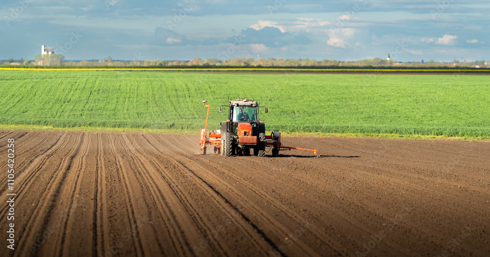 Obraz premium Tractor and seeder for sowing corn