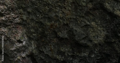 Dark weathered rock with intricate surface details
