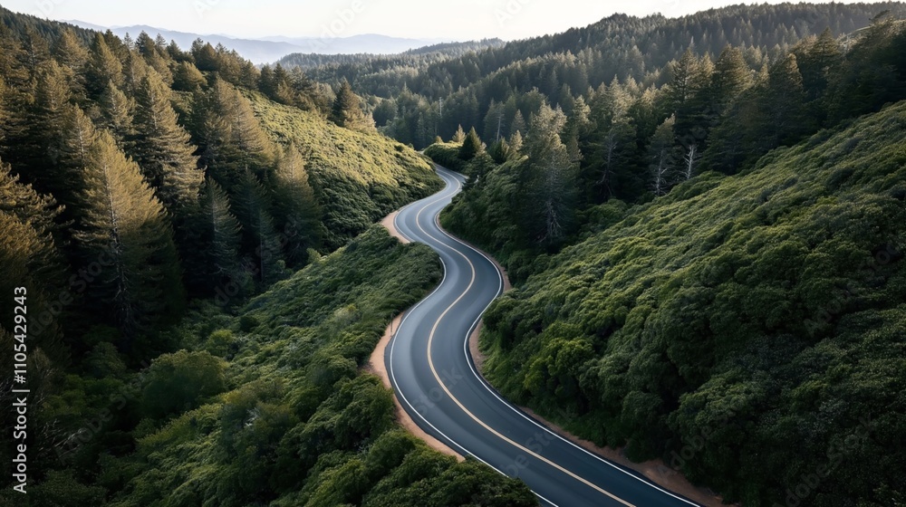 Winding road through dense green forest with tall trees and mountain range in the background under clear sky Winding road through dense green forest with tall trees and mountain range in the background under clear sky