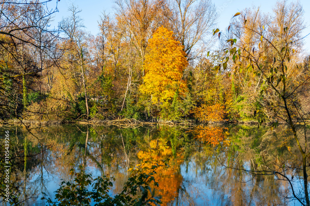 Fall foliage colors along the Garonne River near Toulouse in Occitanie, France. Fall foliage colors along the Garonne River near Toulouse in Occitanie, France.