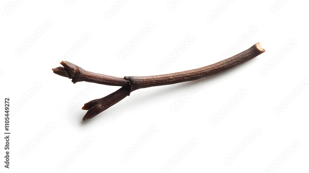 Close-up of a small, dark brown twig with two small branches on a white background. Close-up of a small, dark brown twig with two small branches on a white background.