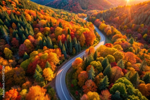 Aerial View of a Serpentine Mountain Road Winding Through a Colorful Forest at Sunset in Autumn, Capturing Nature's Beauty and Tranquility in a Minimalist Style