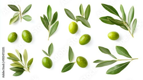 Wallpaper Mural Olive branch with delicate, elongated leaves arranged naturally, isolated cleanly on white, Torontodigital.ca