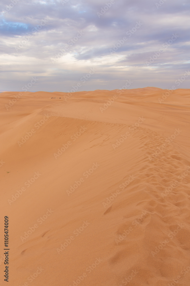 View of the Magnificent Landscape of the Sahara Desert in Morocco View of the Magnificent Landscape of the Sahara Desert in Morocco