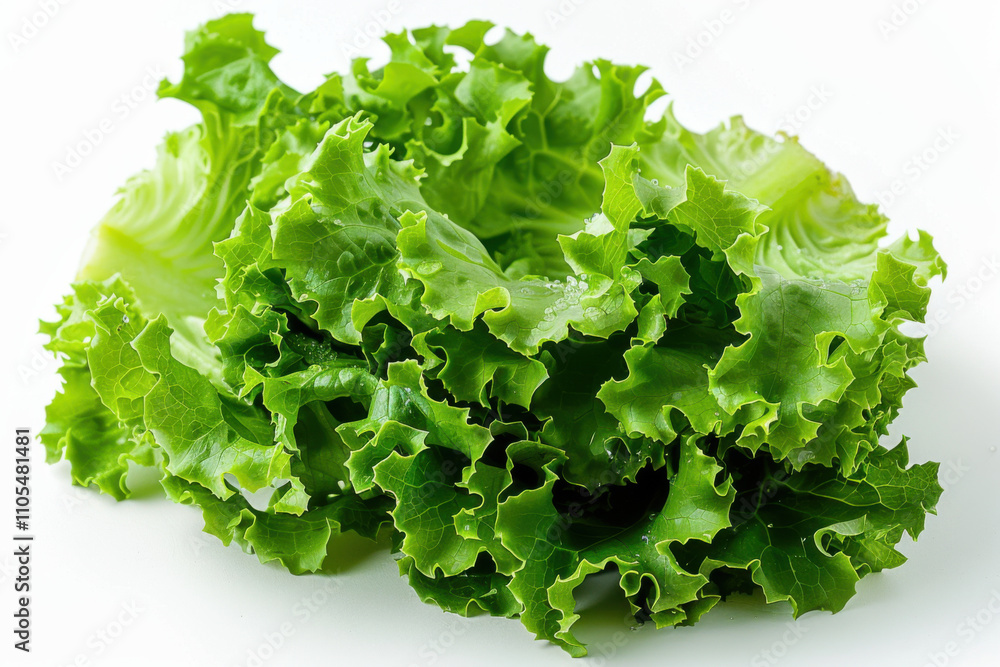 Fresh green lettuce on white background Fresh green lettuce on white background