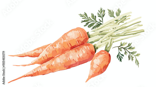 Watercolor carrot hand drawn isolated on white. Food illustration vegetable carrots for menu design, kitchen utensils, logo, printing Set of ripe carrots. Watercolor bright hand-drawn illustration