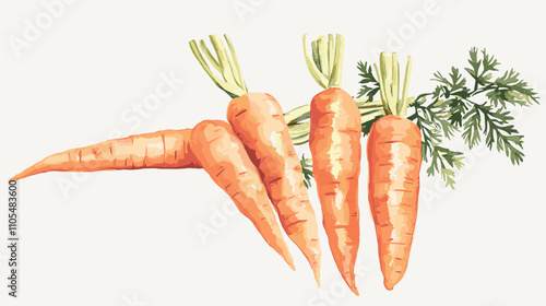 Watercolor carrot hand drawn isolated on white. Food illustration vegetable carrots for menu design, kitchen utensils, logo, printing Set of ripe carrots. Watercolor bright hand-drawn illustration
