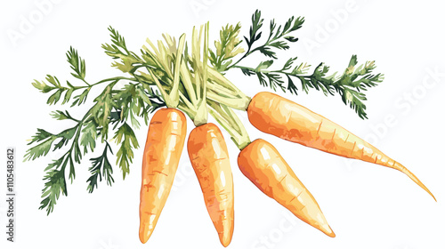 Watercolor carrot hand drawn isolated on white. Food illustration vegetable carrots for menu design, kitchen utensils, logo, printing Set of ripe carrots. Watercolor bright hand-drawn illustration