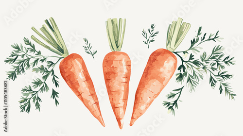 Watercolor carrot hand drawn isolated on white. Food illustration vegetable carrots for menu design, kitchen utensils, logo, printing Set of ripe carrots. Watercolor bright hand-drawn illustration