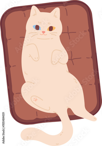 Cat lay on carpet. Cute home pet top view