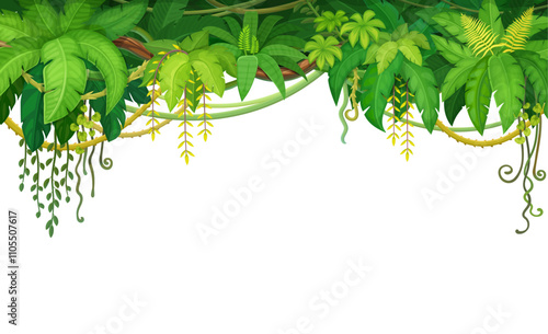 Jungle liana and tropical vines with rainforest plant branches frame, vector background. Tropical liana or ivy branches with monstera leaves, creeper plant branches hanging on white blank background