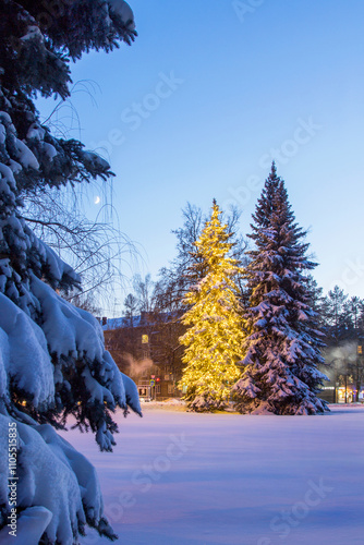 Obraz na płótnie Christmas Landscape