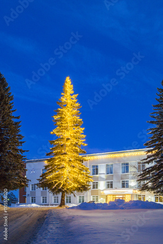 Obraz na płótnie Christmas Landscape