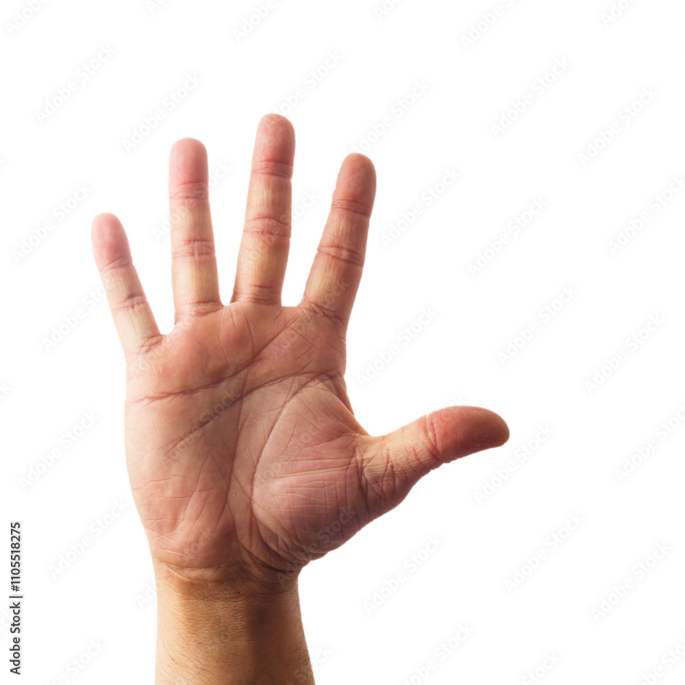 Adult male hand showing number five gesture isolated on white
