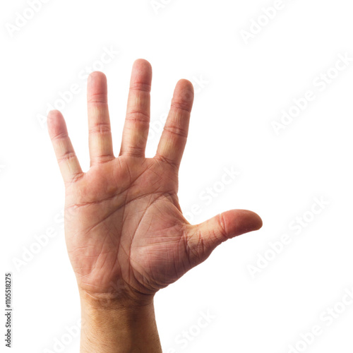Obraz na płótnie Adult male hand showing number five gesture isolated on white w salonie