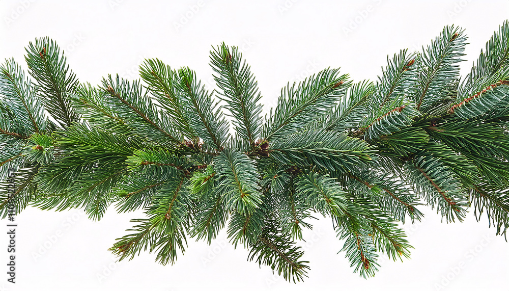 A lush green garland of pine branches isolated on a white background. Generative AI A lush green garland of pine branches isolated on a white background. Generative AI