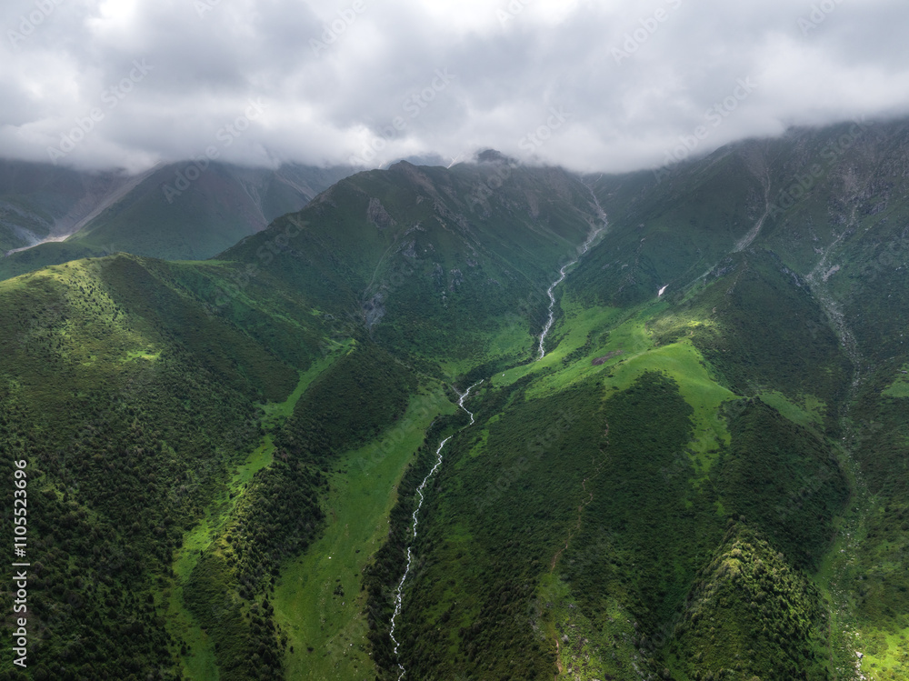 Obraz premium A mountain river, a stream meanders among the green slopes of the mountain. Summer landscape, meadow and forest in the mountains, large clouds in the sky.