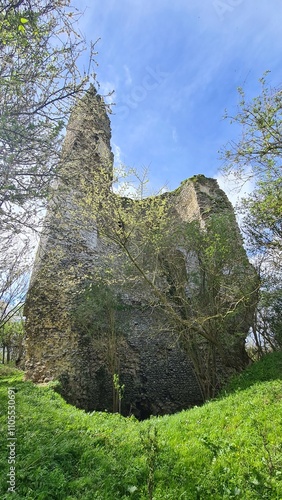 Tour de la Reine Blanche de Neaufles-Saint-Martin photo