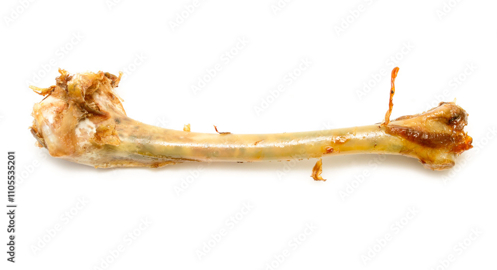 A bone is shown on a white background A bone is shown on a white background