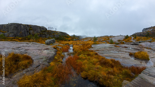 A scenic view of a rocky landscape with patches of orange and yellow grass, small water streams, and cloudy sky.