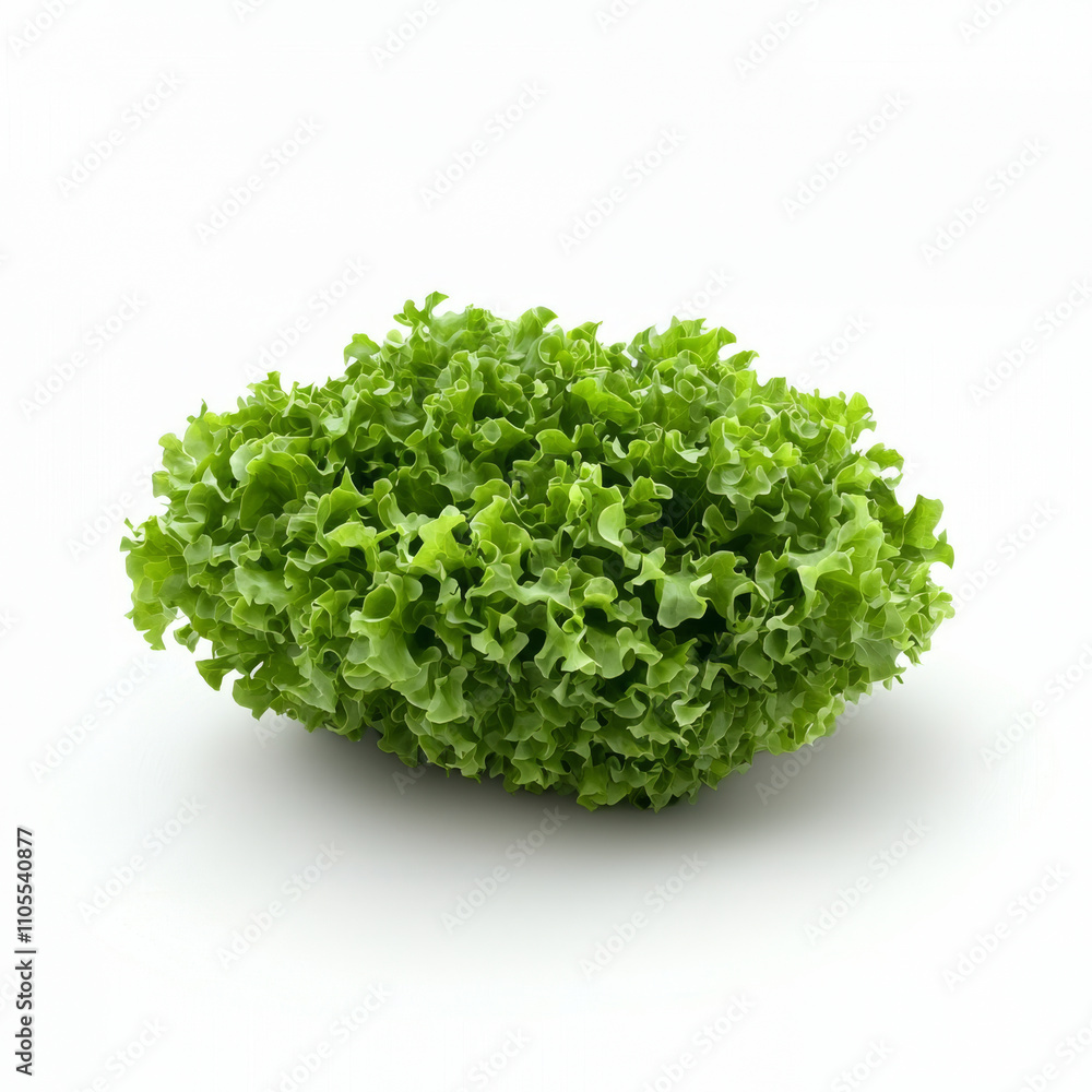 Fresh green lettuce isolated on white background, showcasing its vibrant color and crisp texture. Perfect for salads and healthy meals Fresh green lettuce isolated on white background, showcasing its vibrant color and crisp texture. Perfect for salads and healthy meals