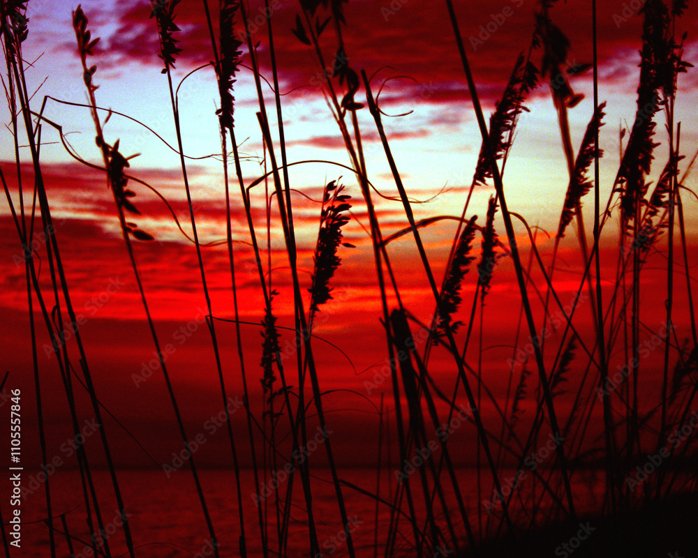 Fototapeta premium Sunrise in Florida, Sunset in Florida, Beaches, Sand, Water, Sub, Relaxation