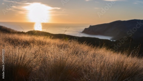 Solitude, quiet contemplation, peaceful environments  photo