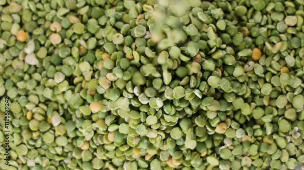 raw green split pea falling from above raw green split pea falling from above