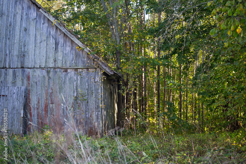 An old barn stands among the trees and tall grass.