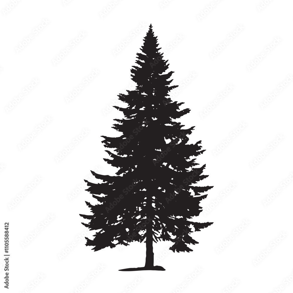 Fototapeta premium Pine Tree Silhouette with Forest Background