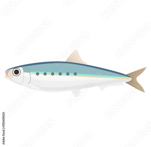 魚のイワシのベクターイラスト