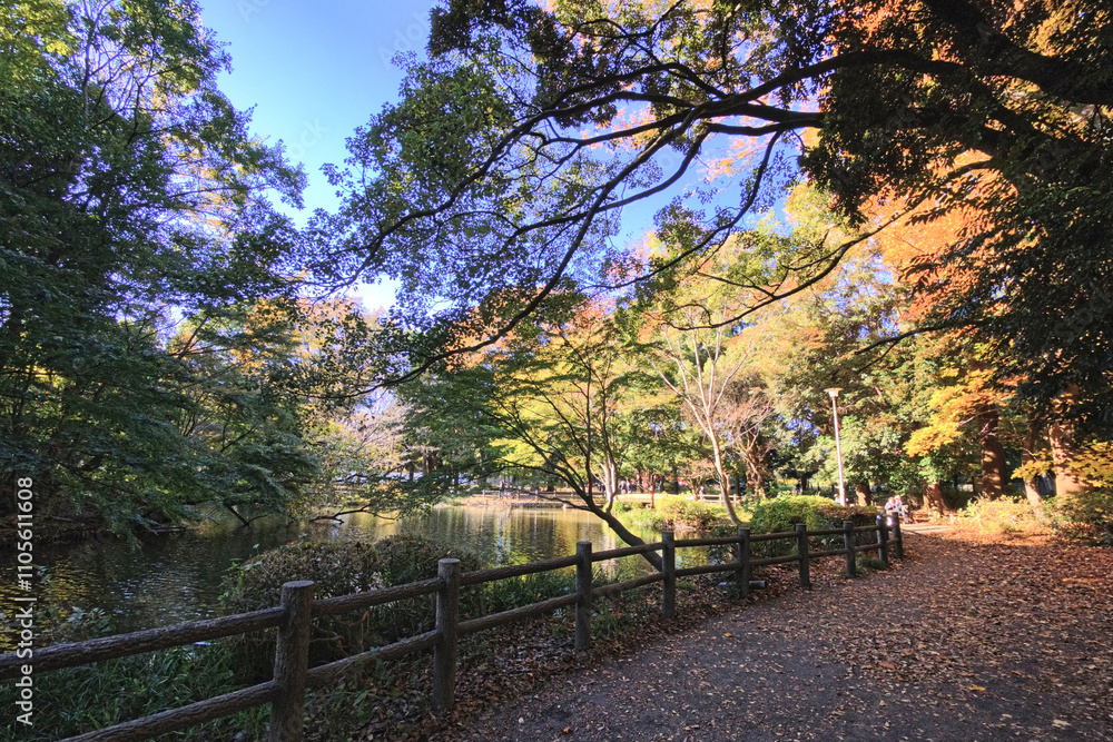 紅葉と大池 紅葉と大池
