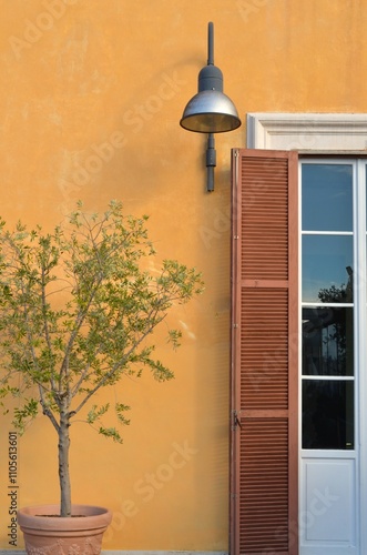 A flower in a pot by the door with a lantern.