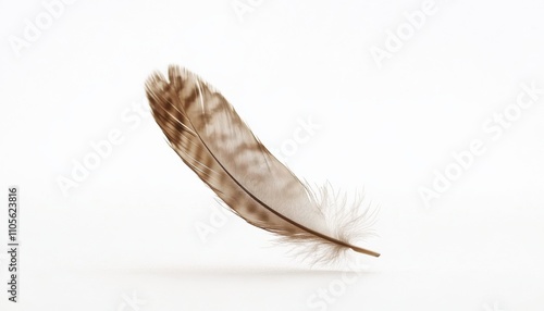 Single Brown Feather Against White Background photo