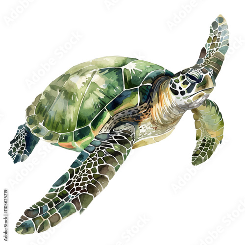 A watercolor of Green Sea Turtle, isolated on a white background. Turtle vector. photo