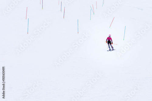: Energetic shot of a female skier in full gear, expertly navigating a slalom course on a snowy slope. Her focused posture and vibrant equipment bring life to the pristine winter setting, showcasing