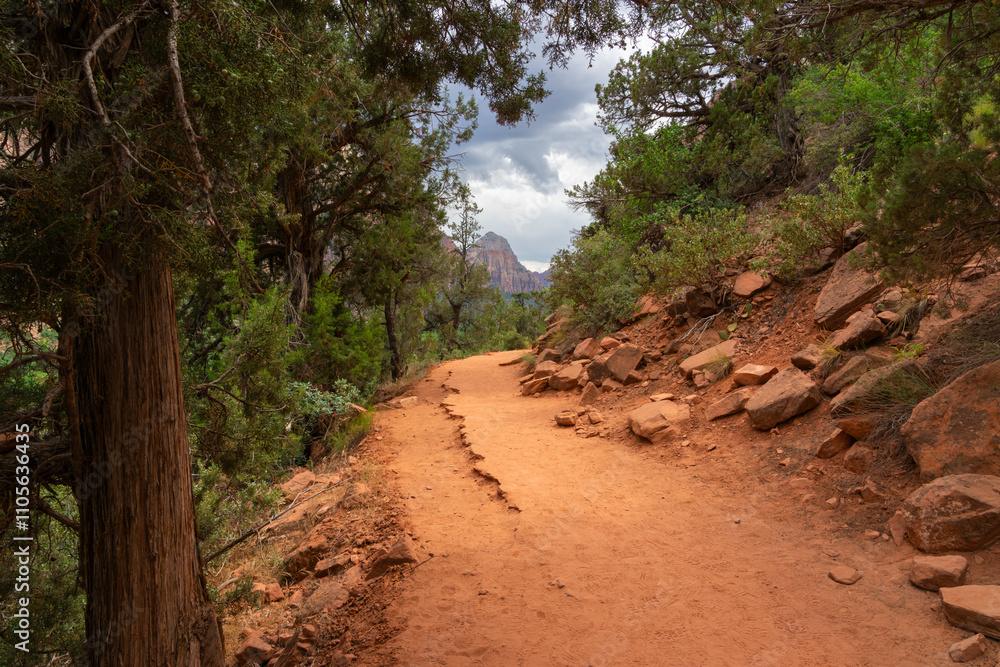 Kayenta trail leading through forest, Zion National Park, Utah, United States of America, North America Kayenta trail leading through forest, Zion National Park, Utah, United States of America, North America