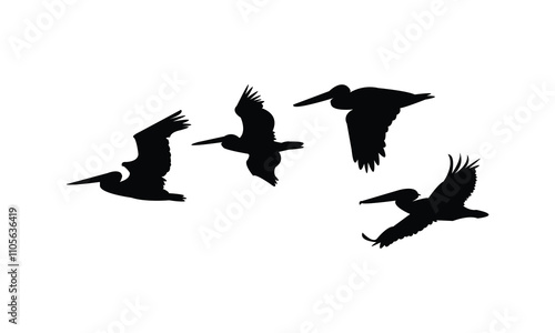 Photos Flying Pelican Bird Silhouette Design  And Vector Illustration.