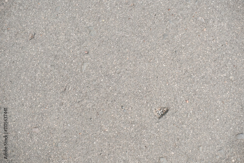 Close-up view of a gray asphalt texture.