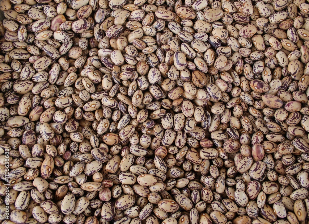 brown bean full frame background - Image brown bean full frame background - Image
